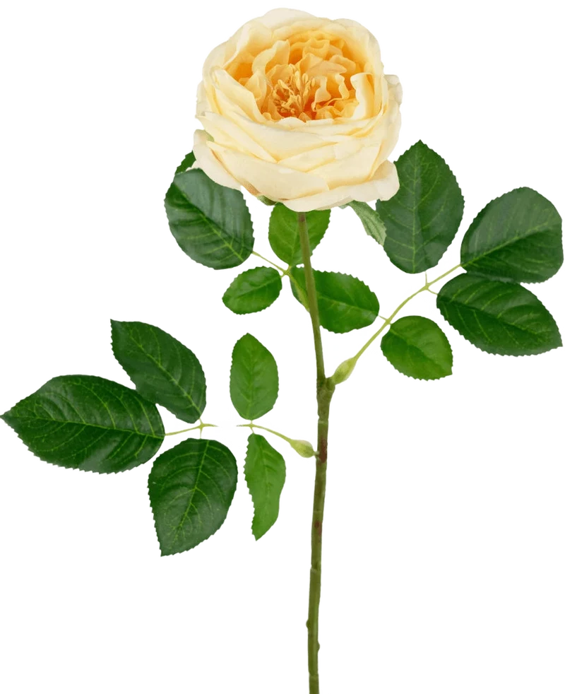 Kunsttuinroos "Anniken" Real Touch geel 72cm