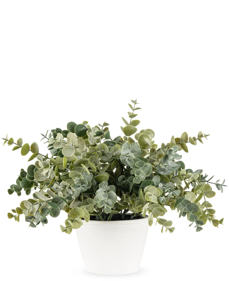 Kunstplant Eucalyptus 23 cm