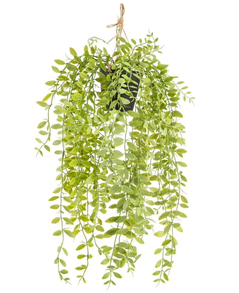 Kunst hangplant Pumila in pot 55 cm