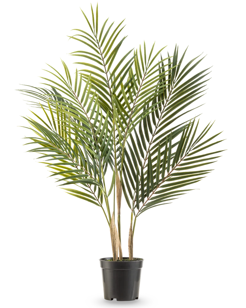 Kunstpalm Chamaedorea 71 cm