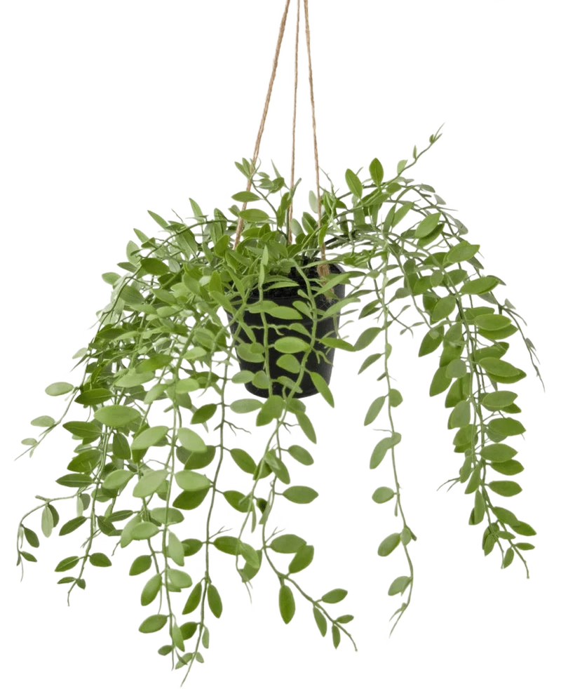 Kunst hangplant Pumila in pot 30 cm