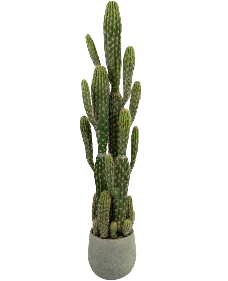 Kunst Cactus 100 cm