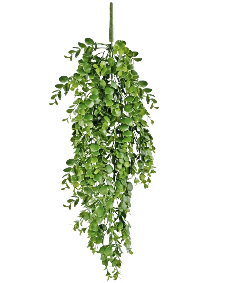 Kunst hangplant Pannenkoek 61 cm