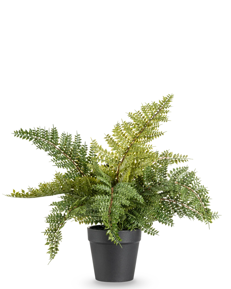 Kunstplant Varen 33 cm