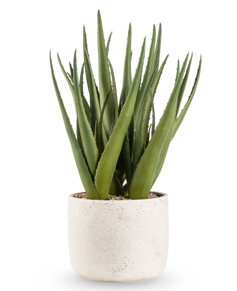Kunstplant Aloe Vera 43 cm