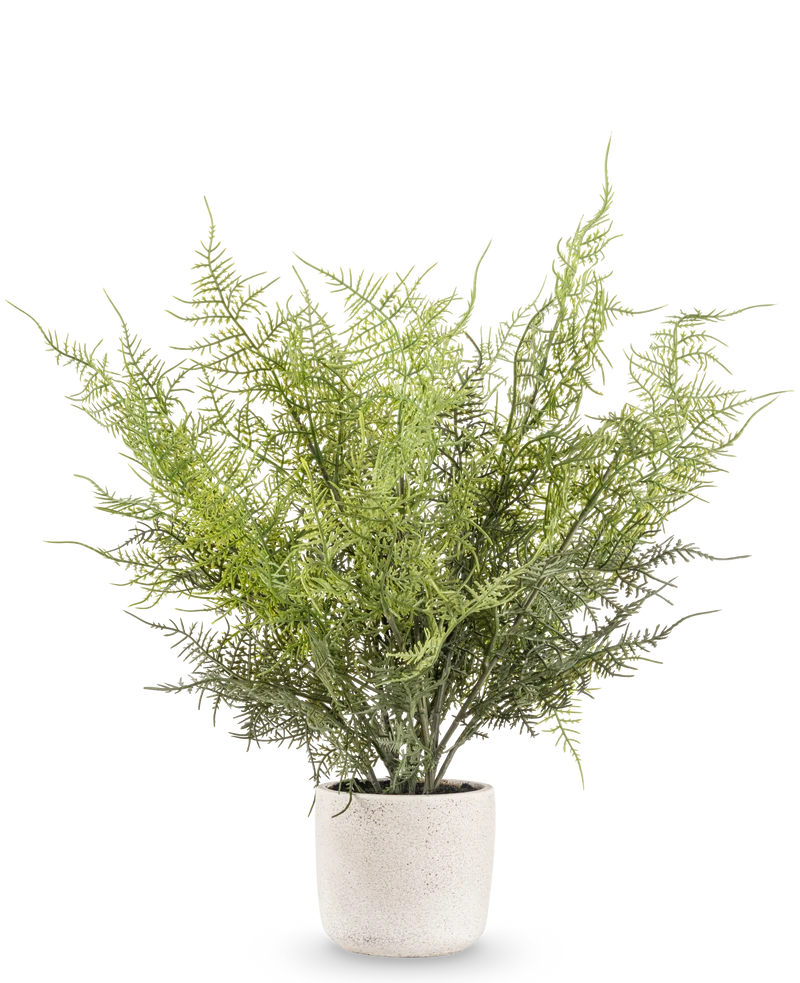 Kunstplant Asparagus 43 cm in sierpot