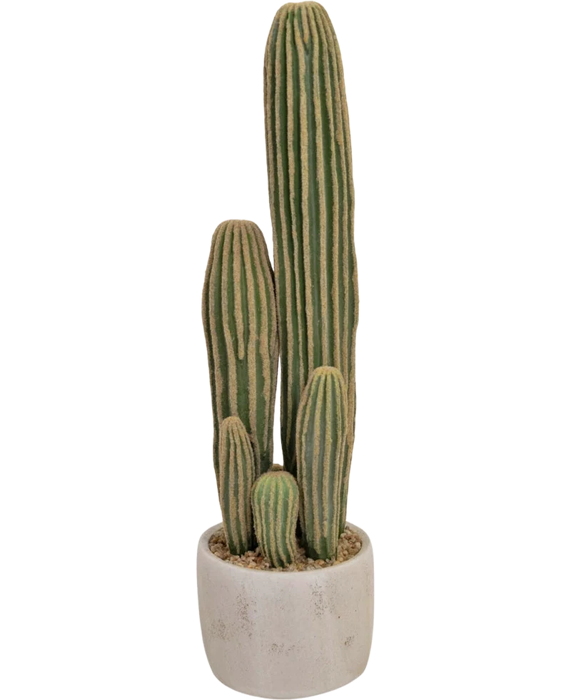 Kunst Cactus 59 cm