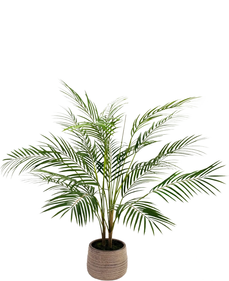 Kunstpalm Chamaedorea 83 cm