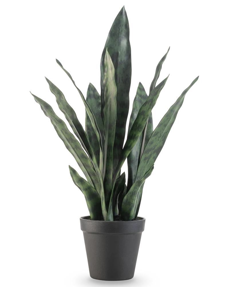 Kunstplant Sansevieria Zeylanica 44 cm