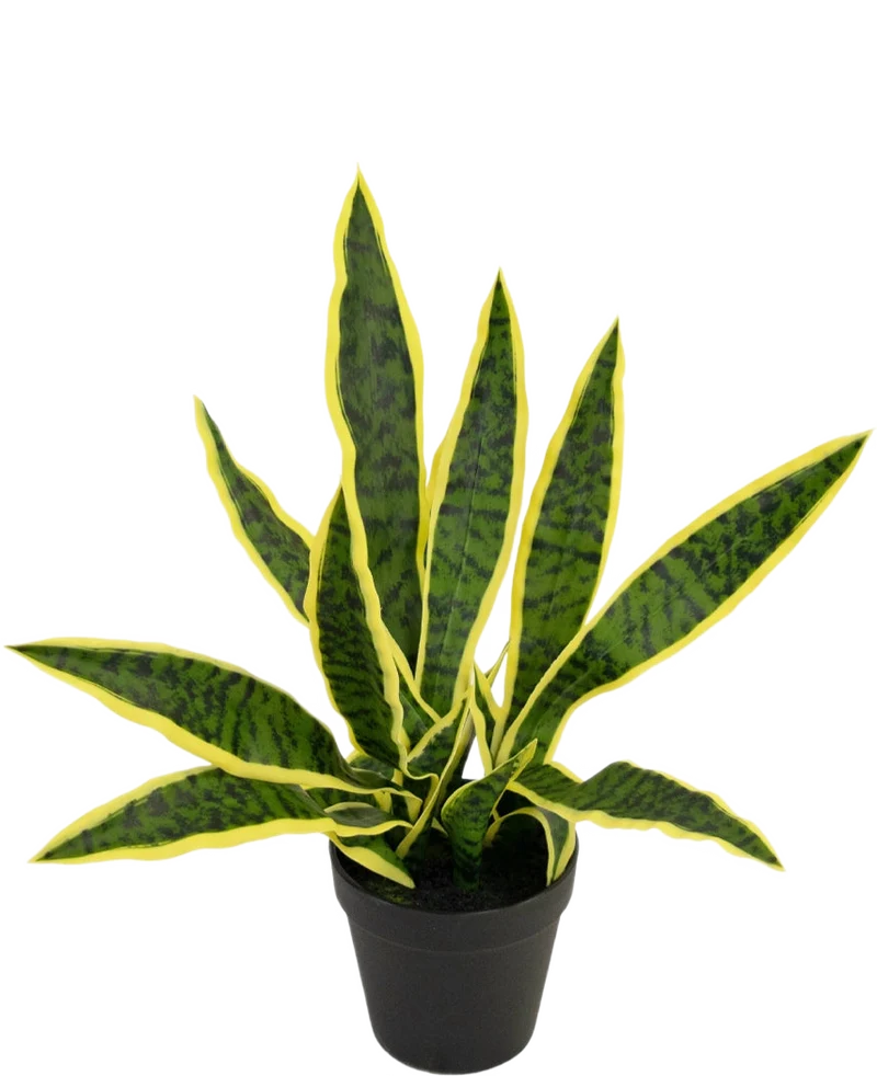 Kunstplant Sansevieria Laurentii 44 cm in sierpot