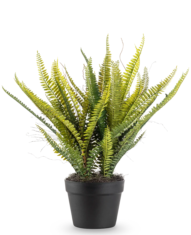 Kunstplant Boston Varen 53 cm