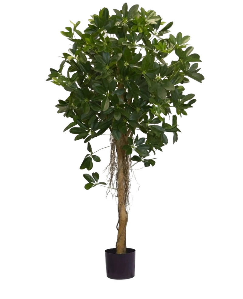 Kunstplant Schefflera klein blad 150 cm