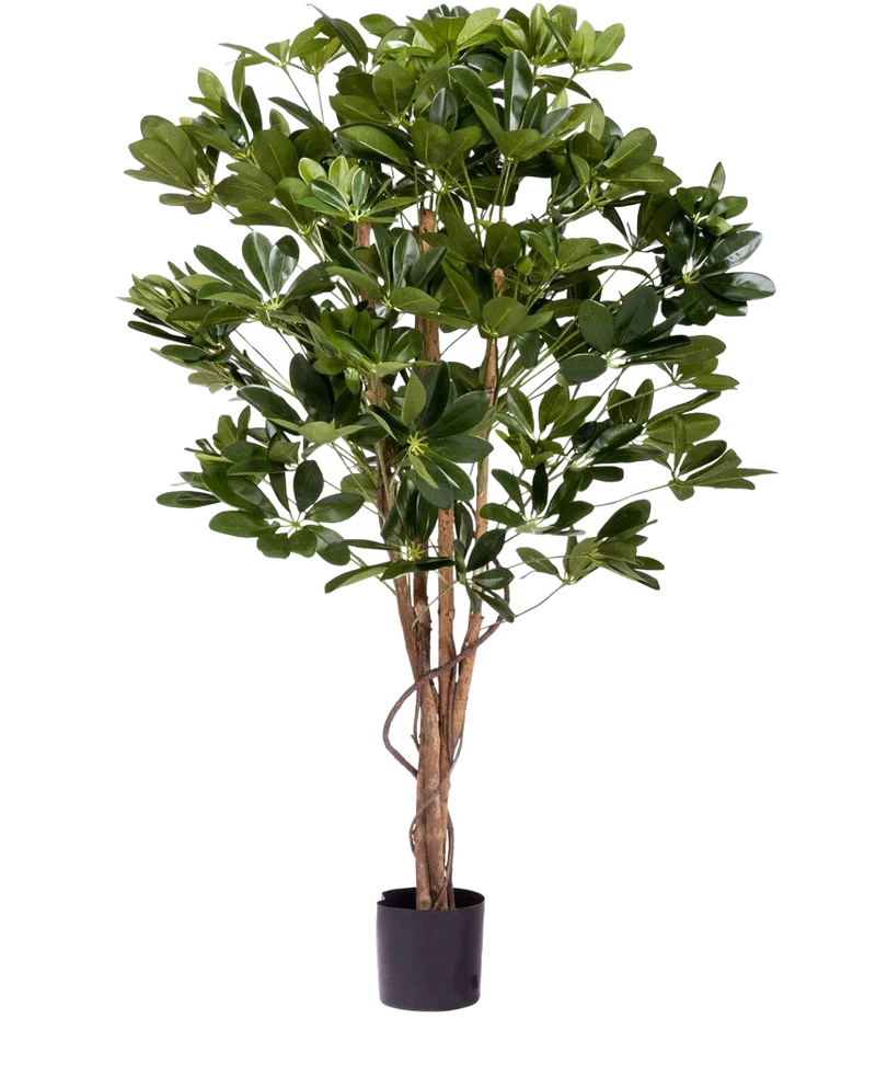 Kunstplant Schefflera 120 cm
