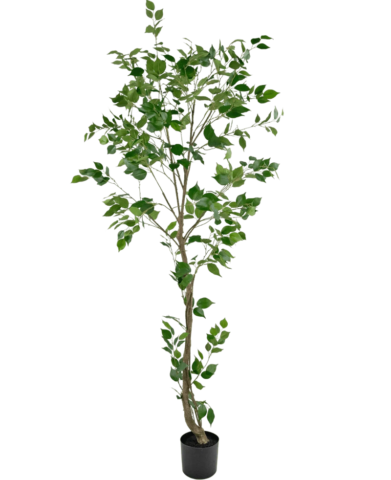 Kunstplant Ficus 210 cm