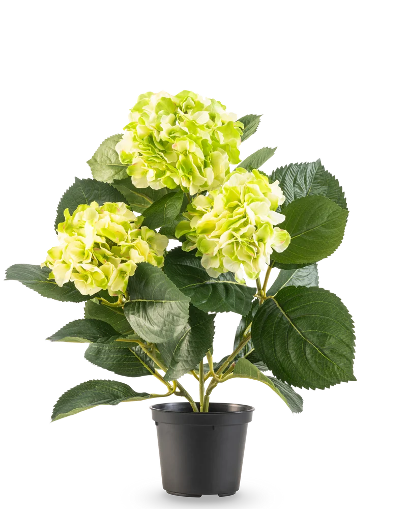 Kunstplant Hortensia Groen UV 35 cm