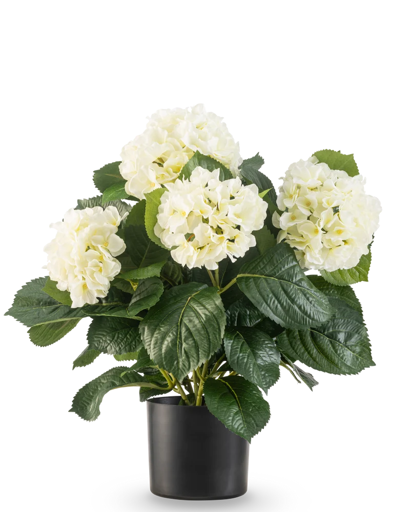 Kunstplant Hortensia UV 43 cm wit