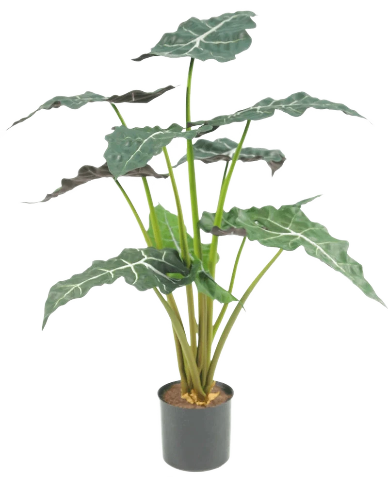 Kunstplant Alocasia UV 67 cm