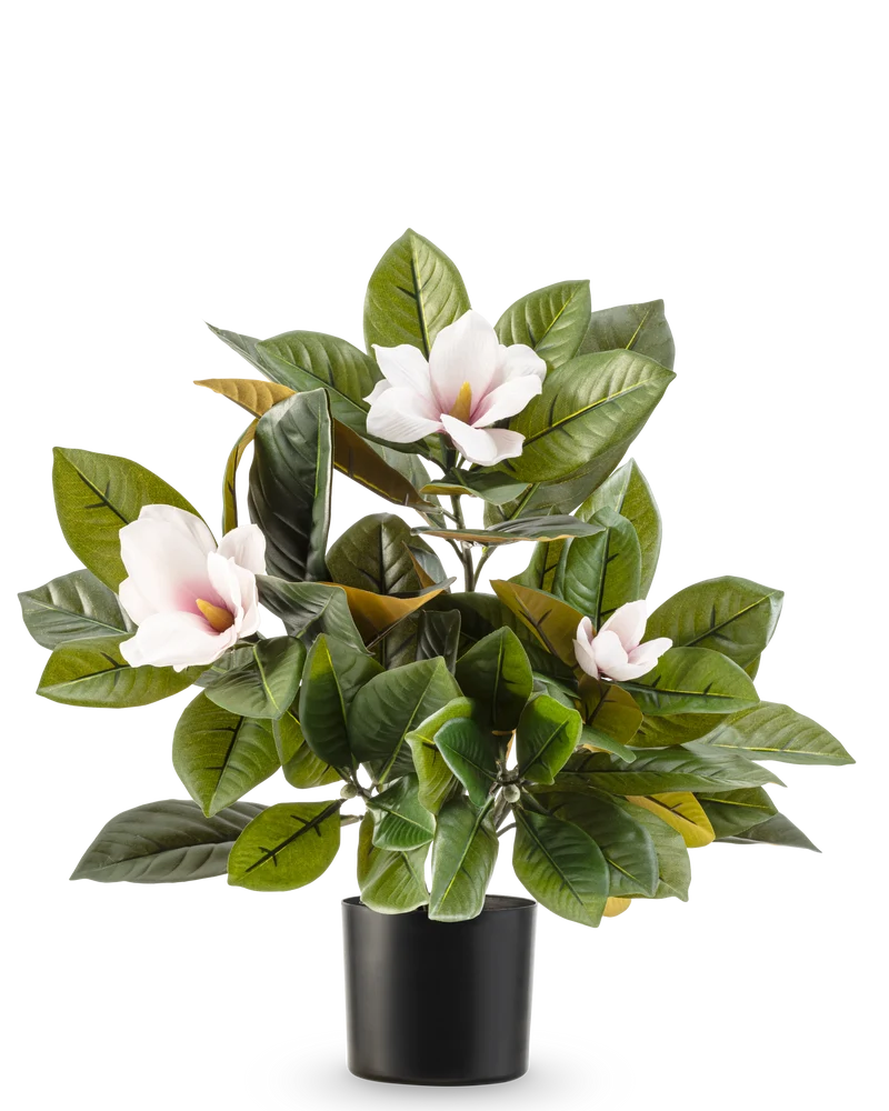 Kunstplant Magnolia in pot 46 cm