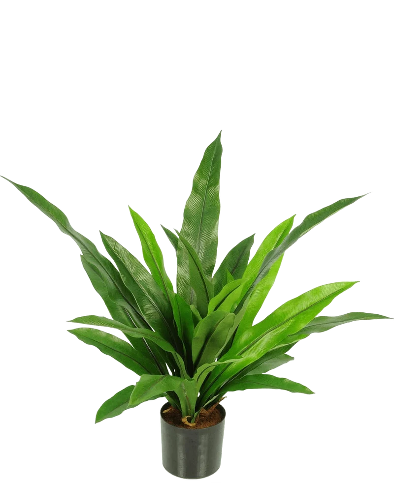 Kunstplant Bird's Deluxe 60 cm