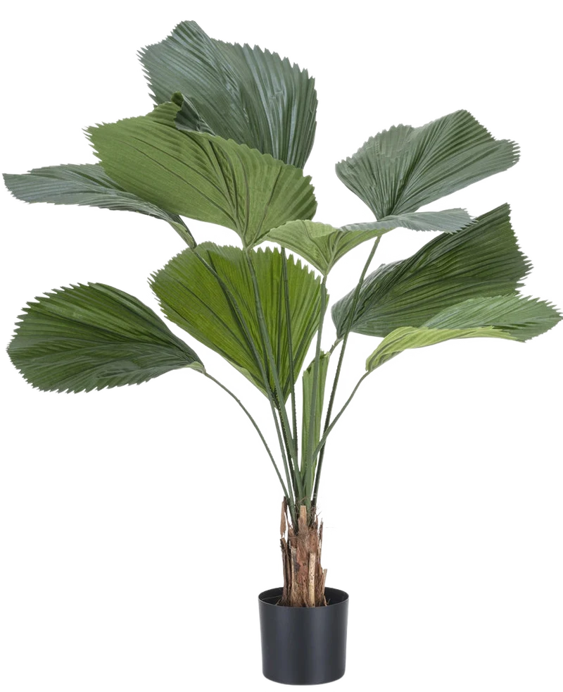 Kunstplant Lucuala Grandis 120 cm