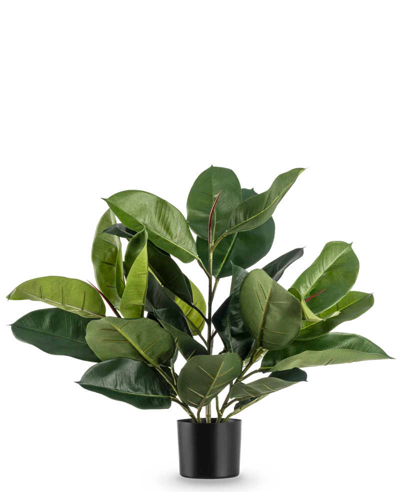 Kunstplant Rubber plant 51 cm
