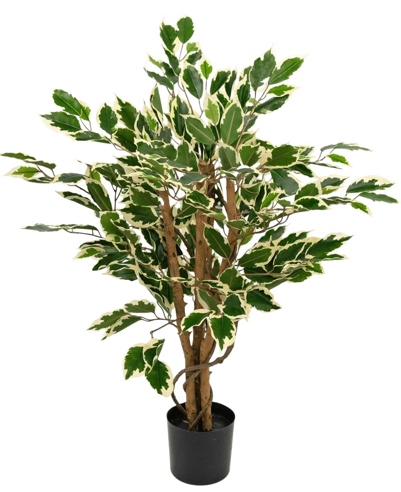 Kunstplant Ficus Groen/wit 90 cm