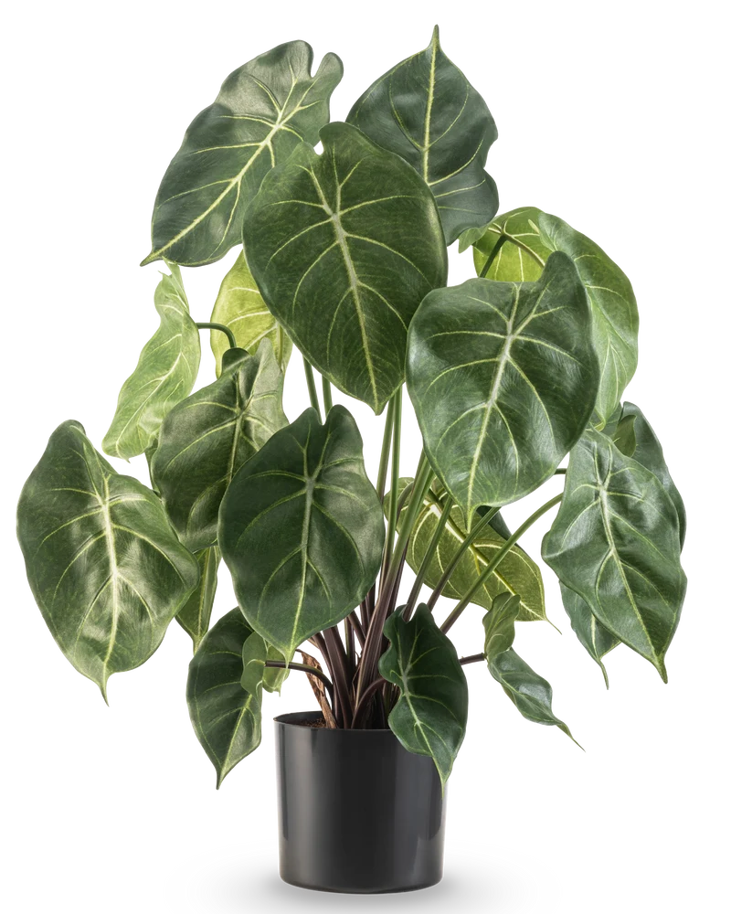 Kunstplant Syngonium UV 58 cm