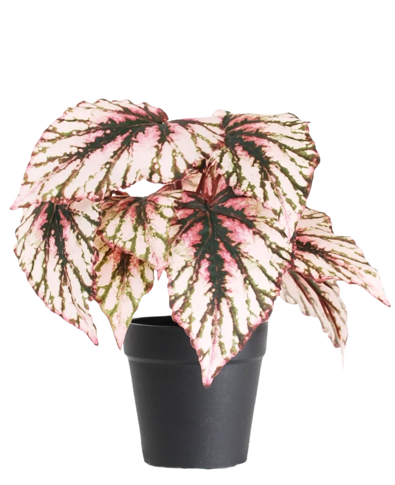 Kunst Begonia in pot paars UV 25 cm