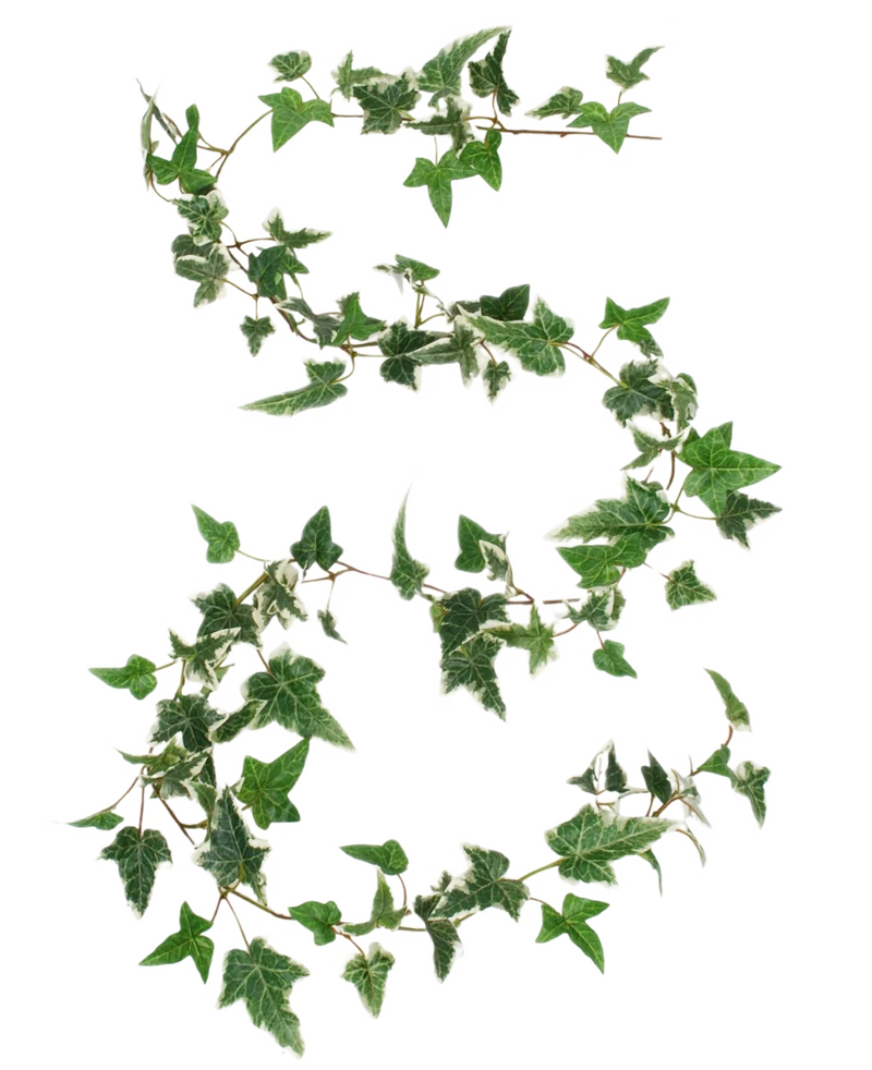 Kunst Boston klimop slinger groen-wit 180 cm UV