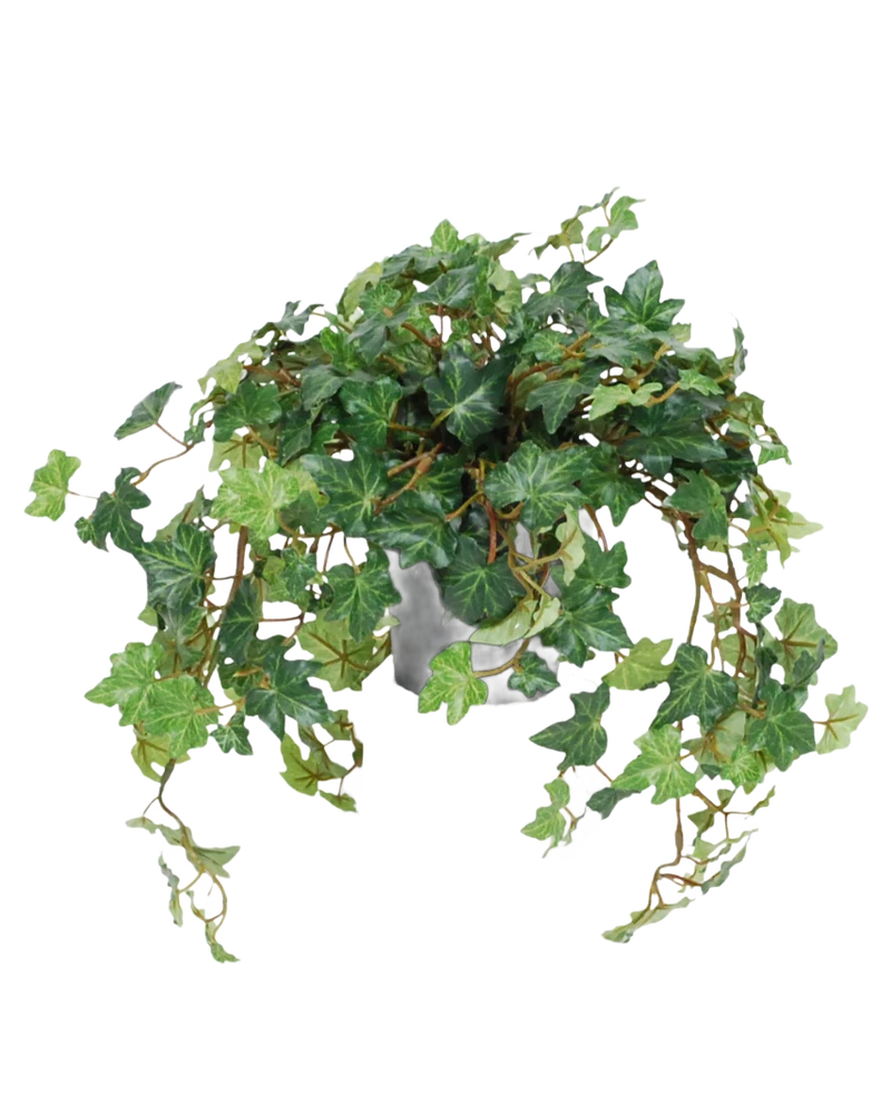 Kunst Klimop Deluxe groen in pot 40 cm UV