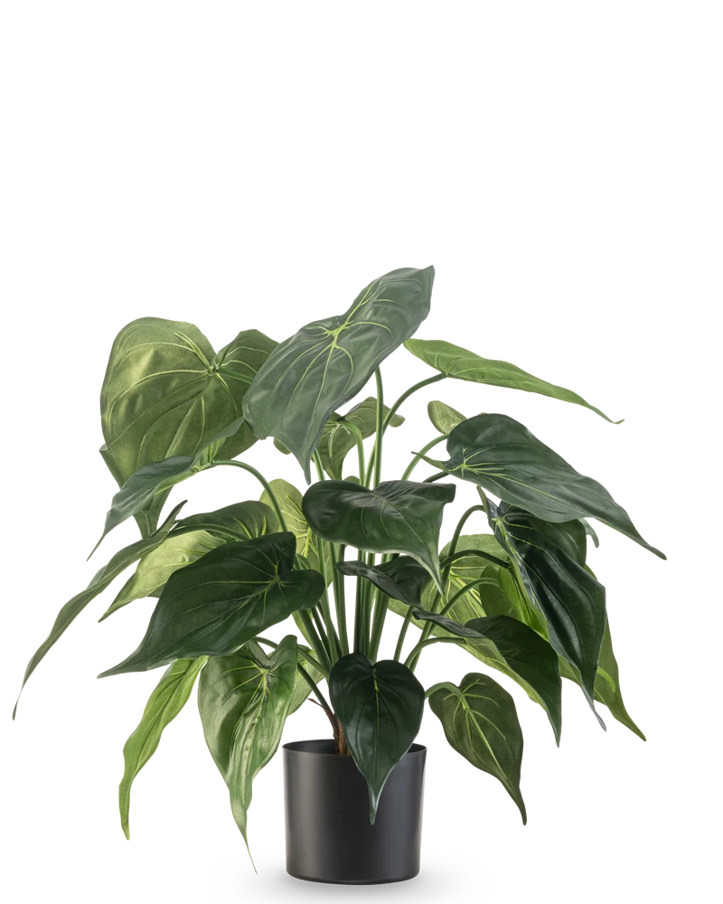 Kunstplant Alocasia UV 51 cm