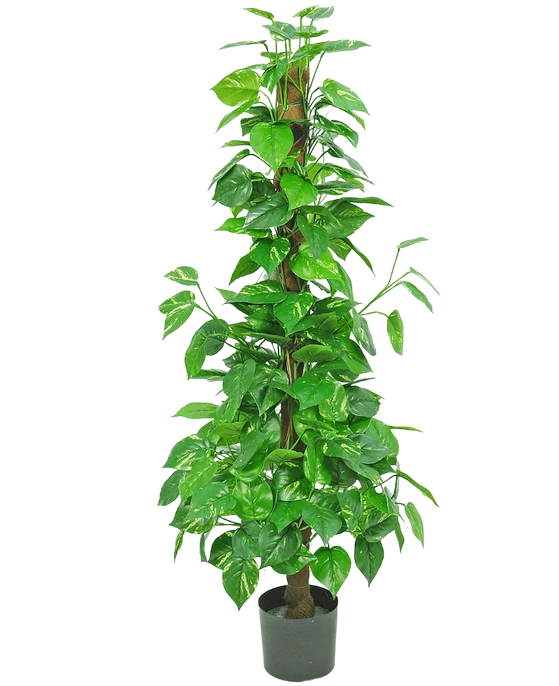 Kunstplant Pothos 150 cm