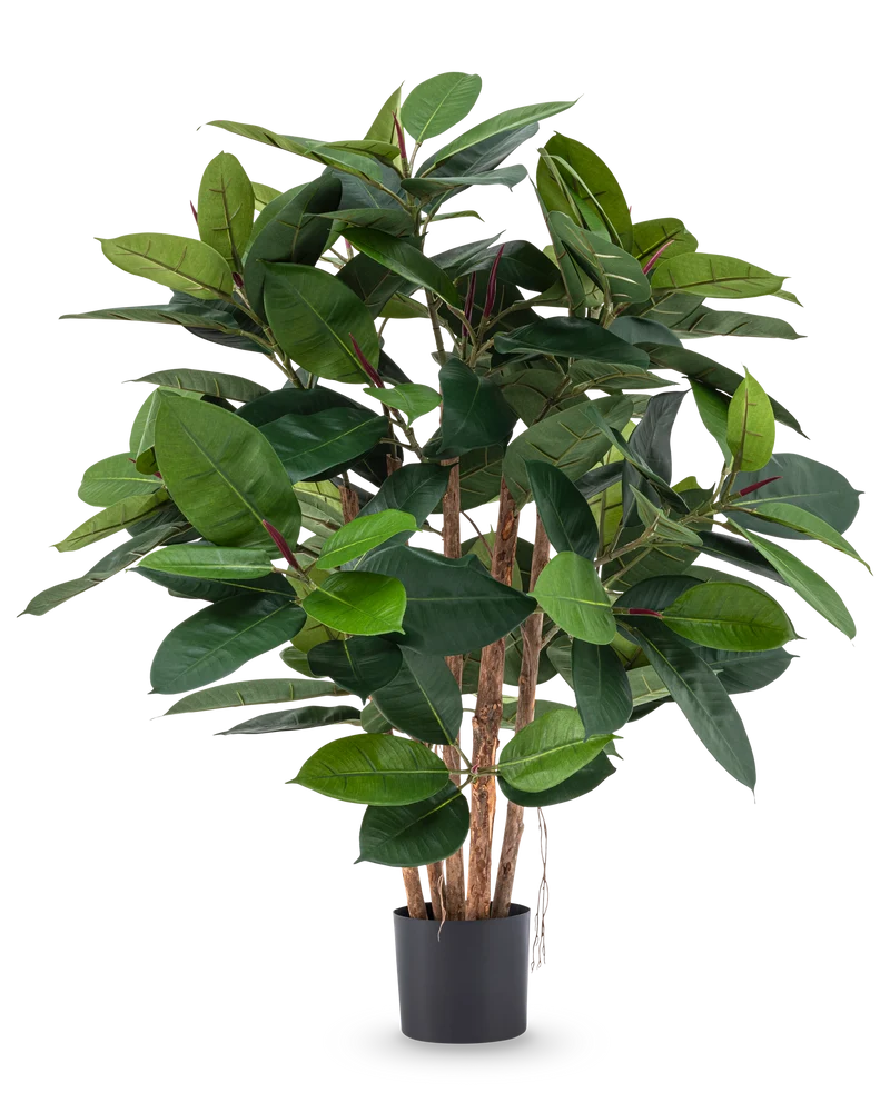 Kunstplant Rubber deluxe 90 cm