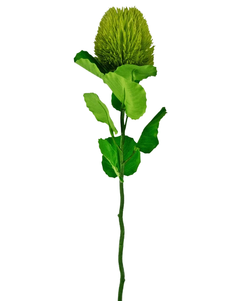 Kunstbloem Banksia 59 cm groen