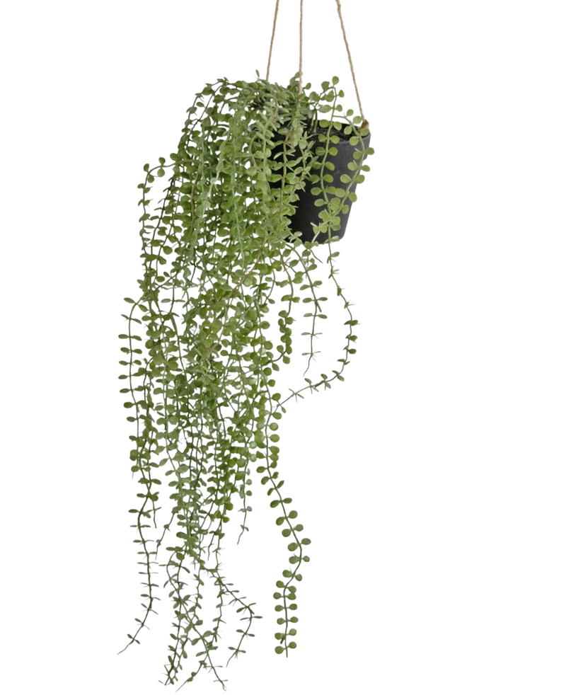 Kunst hangplant Pumila 81 cm in pot