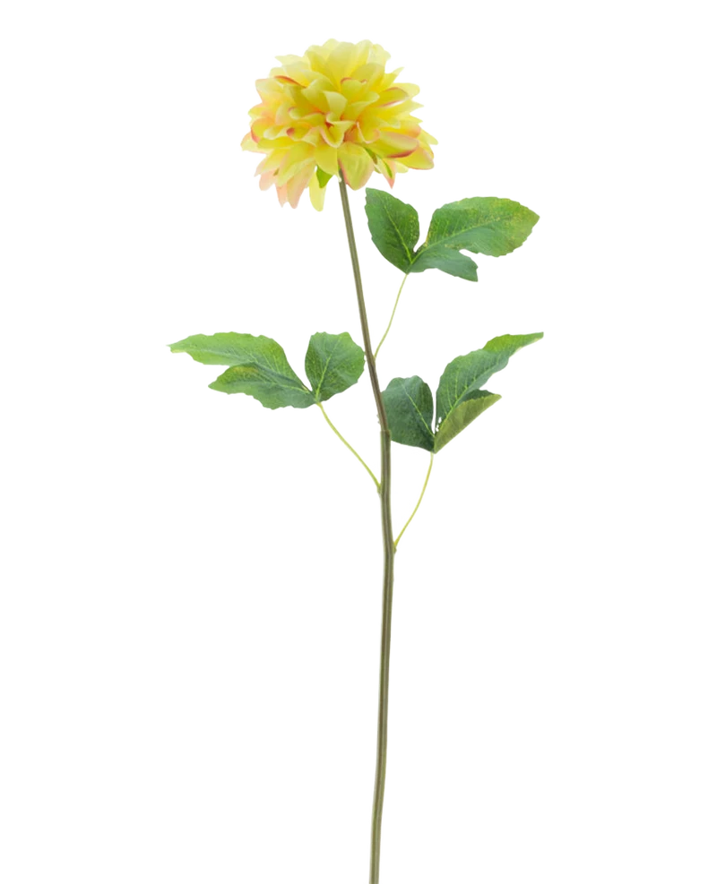 Kunstbloem Dahlia Real Touch Champagne 73 cm