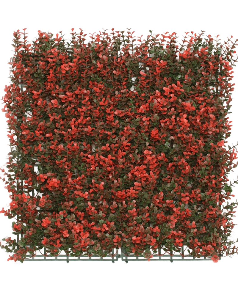 Kunsthaag Buxus rood 50x50 cm UV