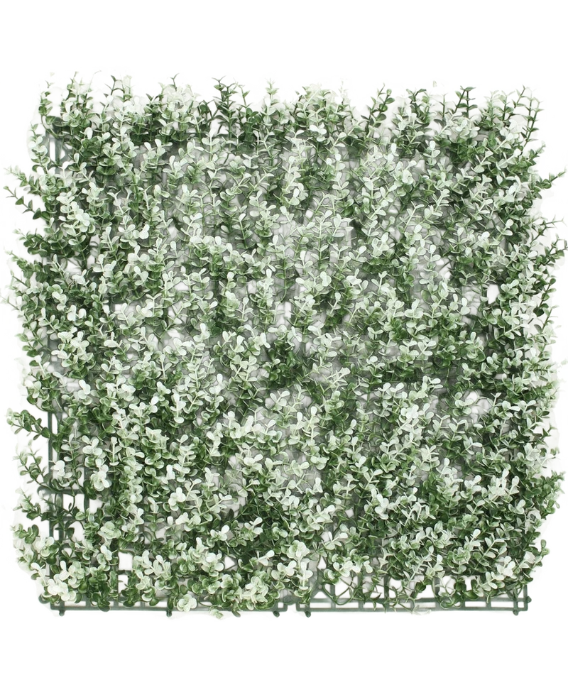 Kunsthaag Buxus wit 50x50 cm UV