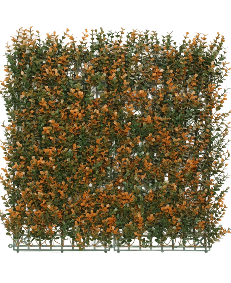 Kunsthaag Buxus oranje 50x50 cm UV