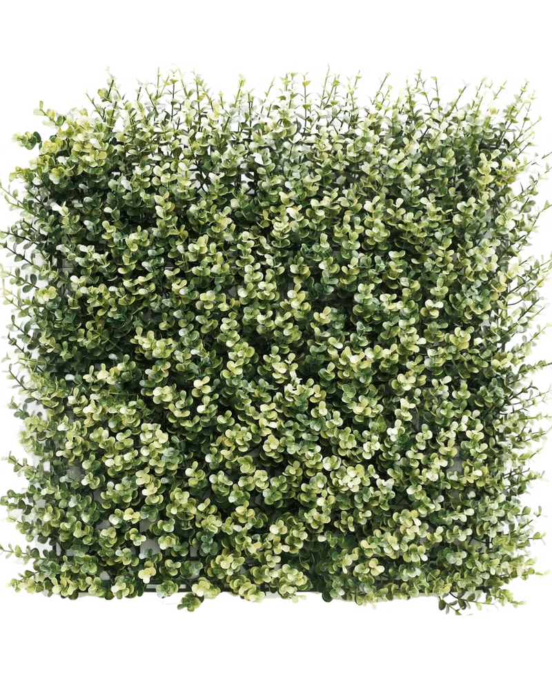 Kunsthaag Buxus beige 50x50 cm UV