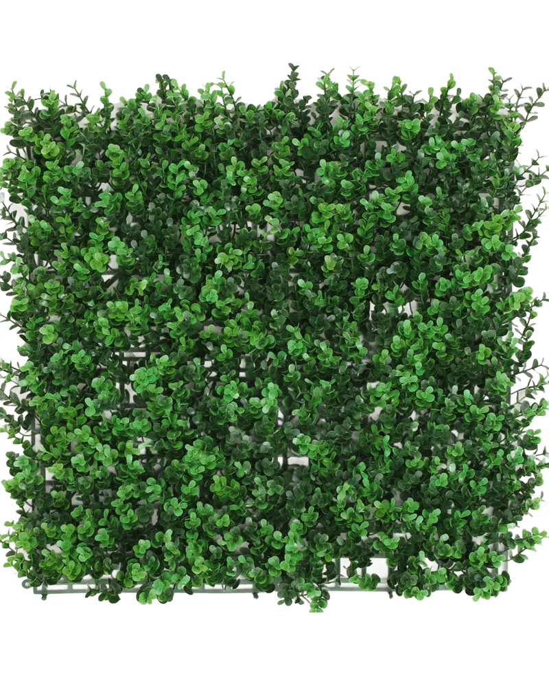 Kunsthaag Buxus groen 50x50 cm UV