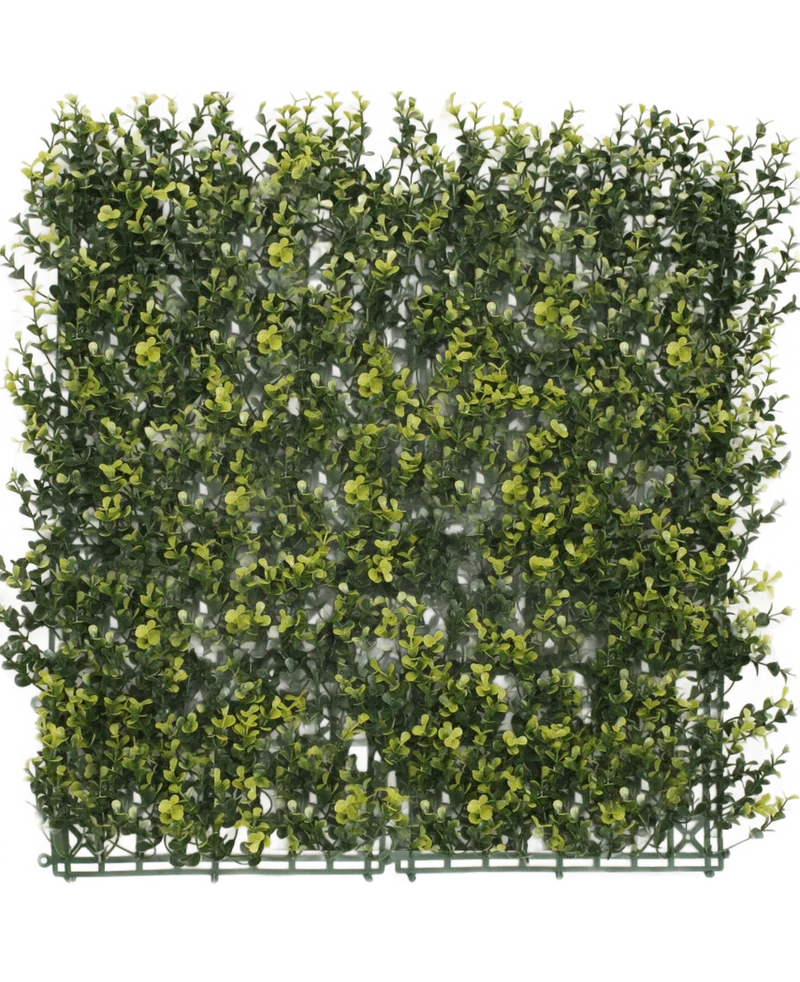 Kunsthaag Buxus geel 50x50 cm UV