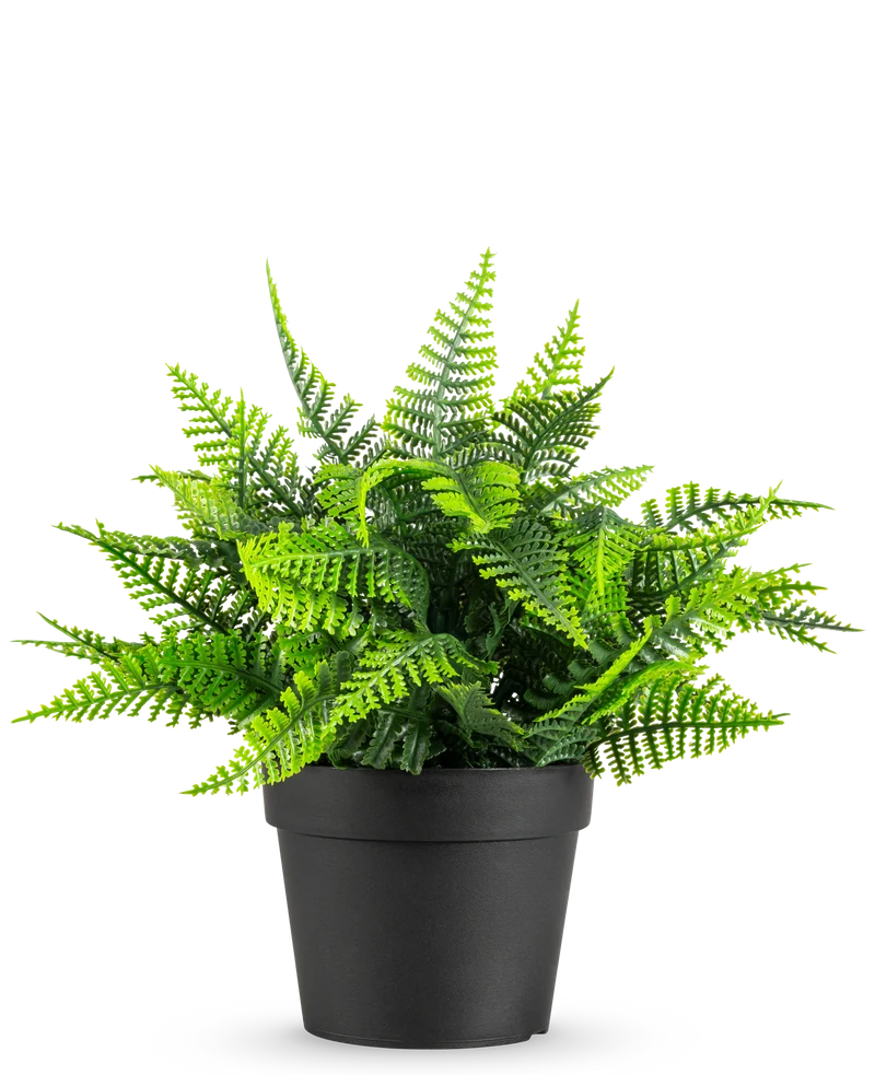 Kunstplant Varen in pot UV 23 cm