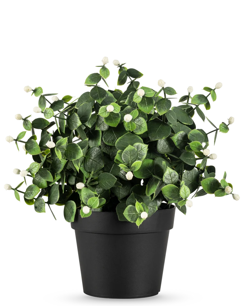 Kunstplant Eucalyptus wit in pot UV 22 cm