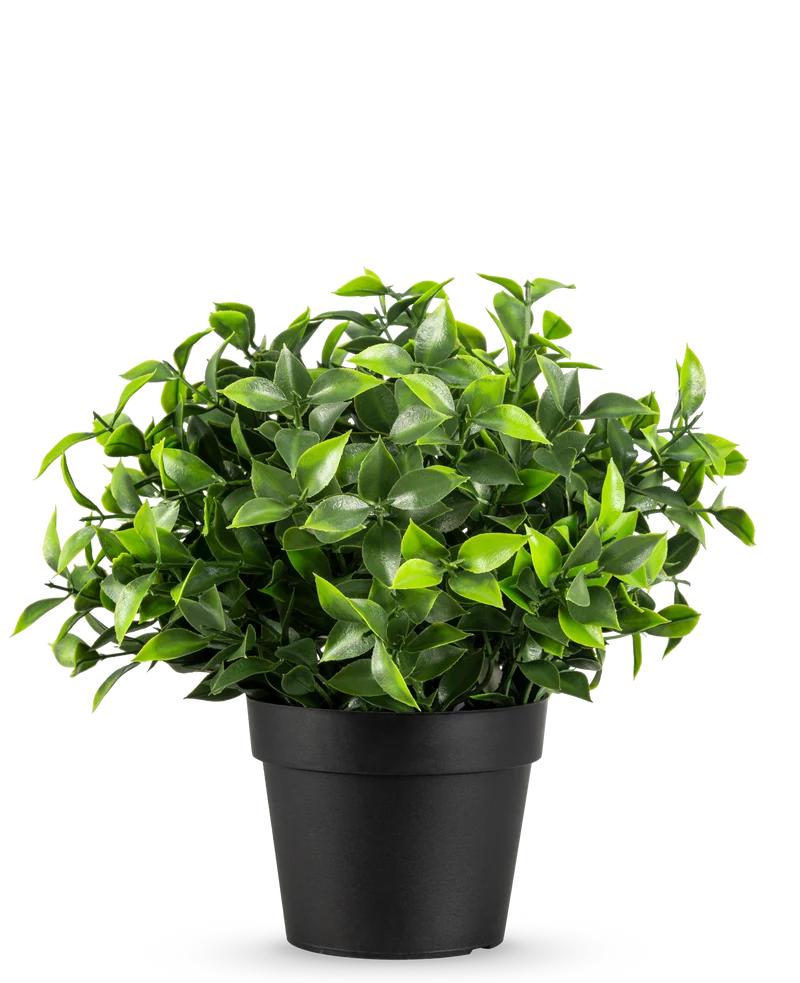 Kunstplant Photonia in pot UV 22 cm