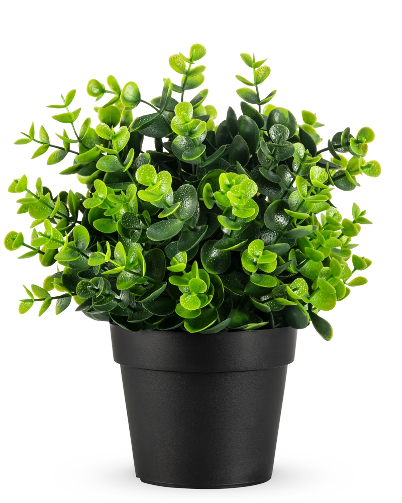 Kunstplant Groen in pot UV 22 cm