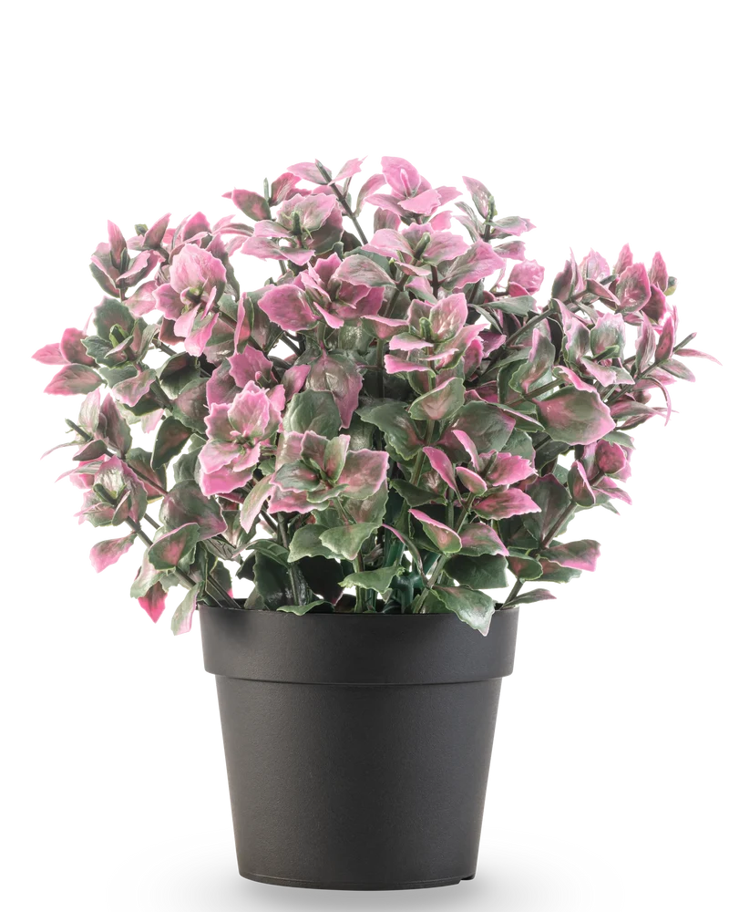 Kunstplant Eucalyptus paars in pot UV 22 cm