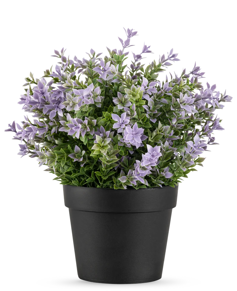 Kunstplant Buxus paars UV 22 cm