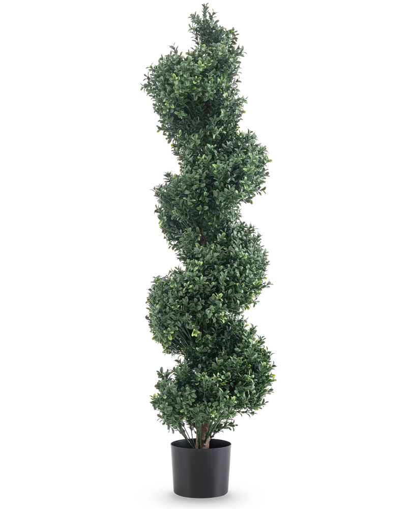 Kunst Buxus Spiraal Romeinse stijl UV 120cm