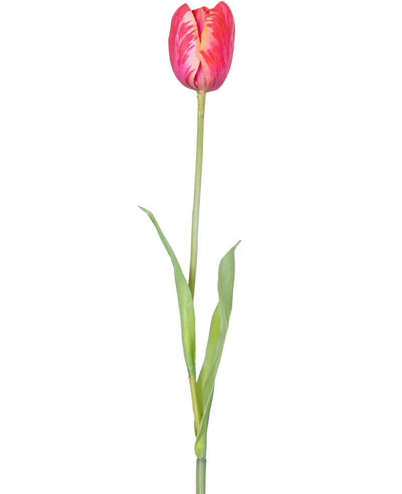 Kunstbloem Franse Tulp 60 cm rood